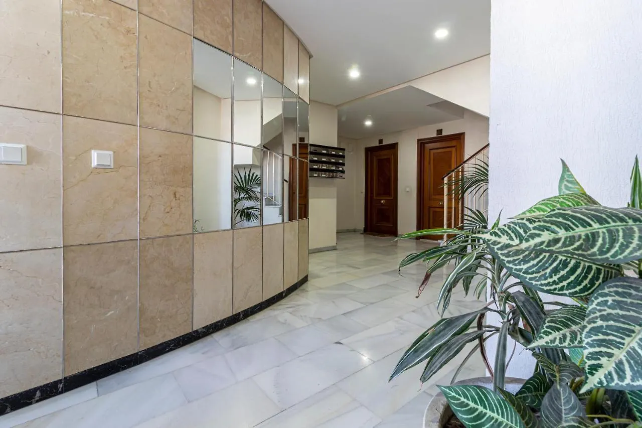 Top Estudio Sur - Terraza Jerez de la Frontera Apartment